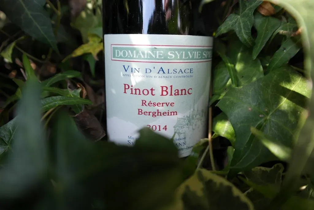 Sylvie Spielmann | Pinot Blanc réserve Bergheim