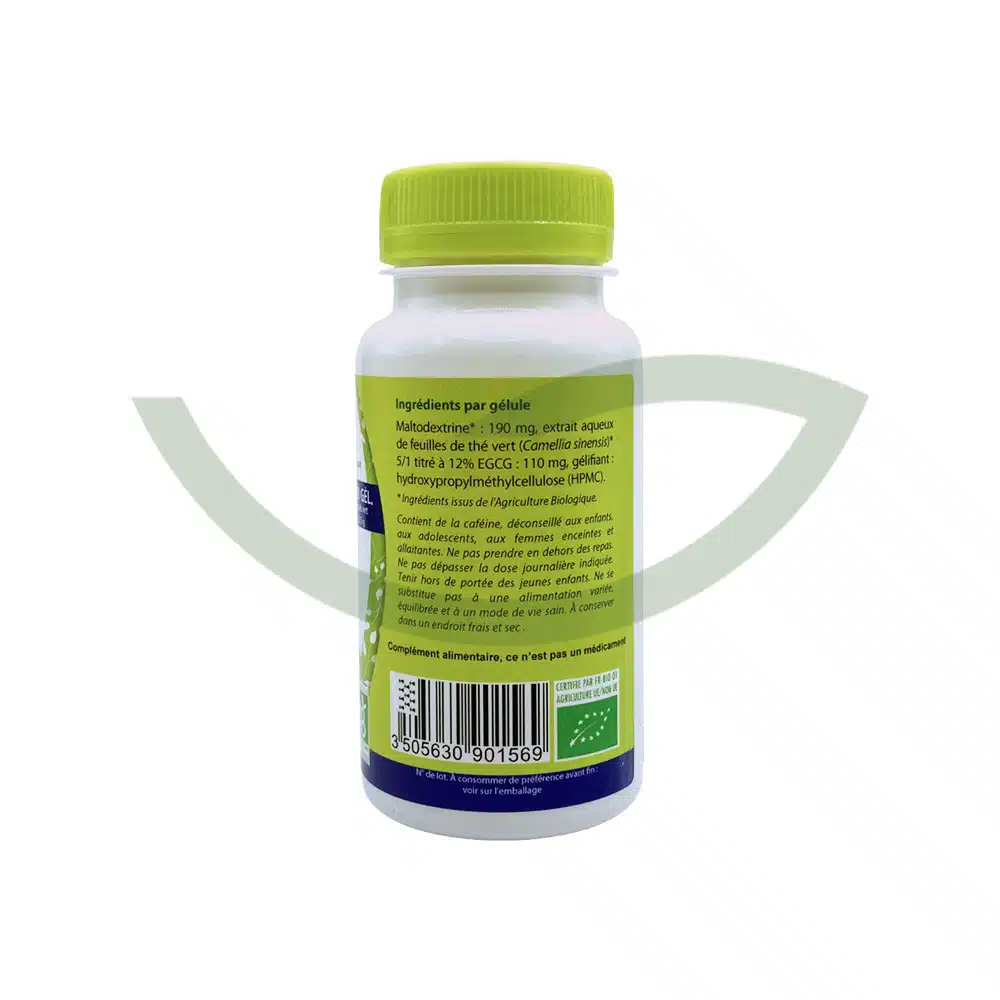 Thé Vert Bio – 60 gélules – MGD – Image 2