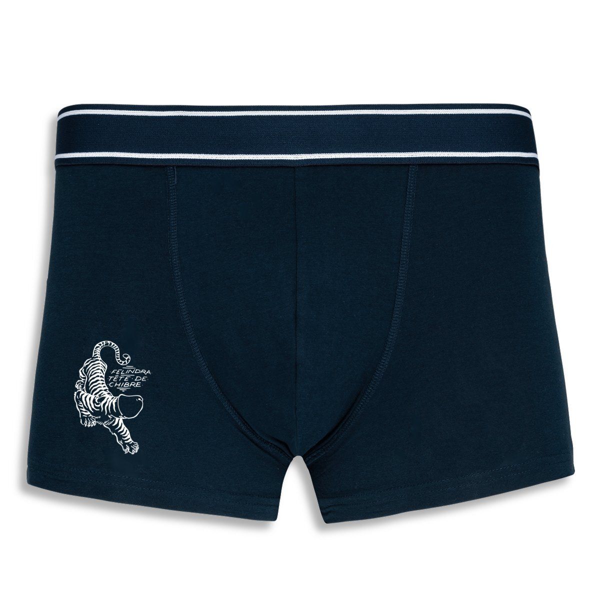 Boxer « Felindra tête de chibre » – Image 2