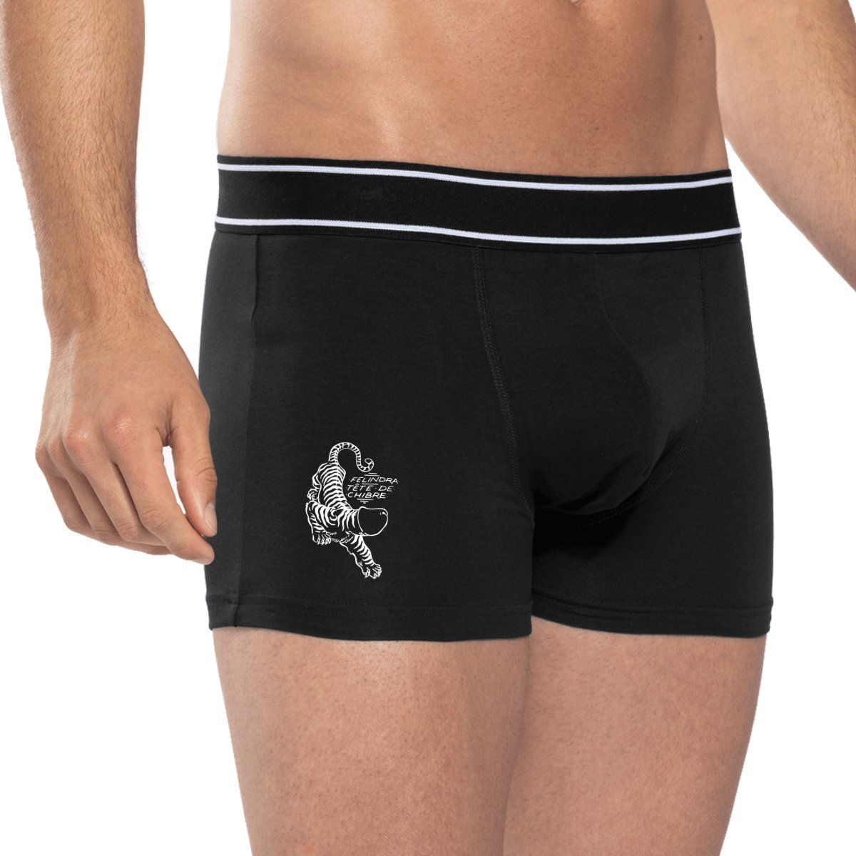 Boxer « Felindra tête de chibre » – Image 5